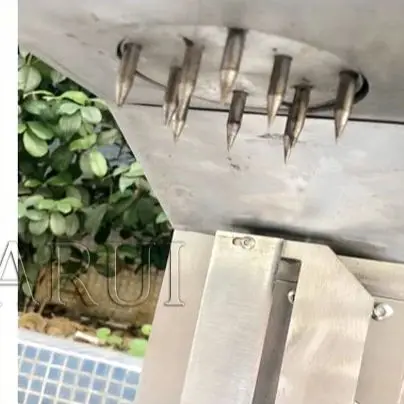 220V/110V Electric Green Coconut Peeler Young Coconut Skin Trimming Peeling Removal Machine
220V/110V Electric Green Coconut Peeler Young Coconut Skin Trimming Peeling Removal Machine