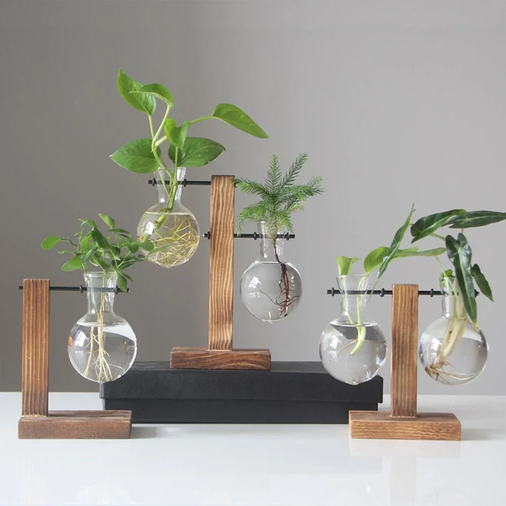 Glass Desktop Planter Bulb Vase Wooden Stand Hydroponic Plant Container Decor Living Room Office Plant Propagation Station Vazo
Glass Desktop Planter Bulb Vase Wooden Stand Hydroponic Plant Container Decor Living Room Office Plant Propagation Station Vazo