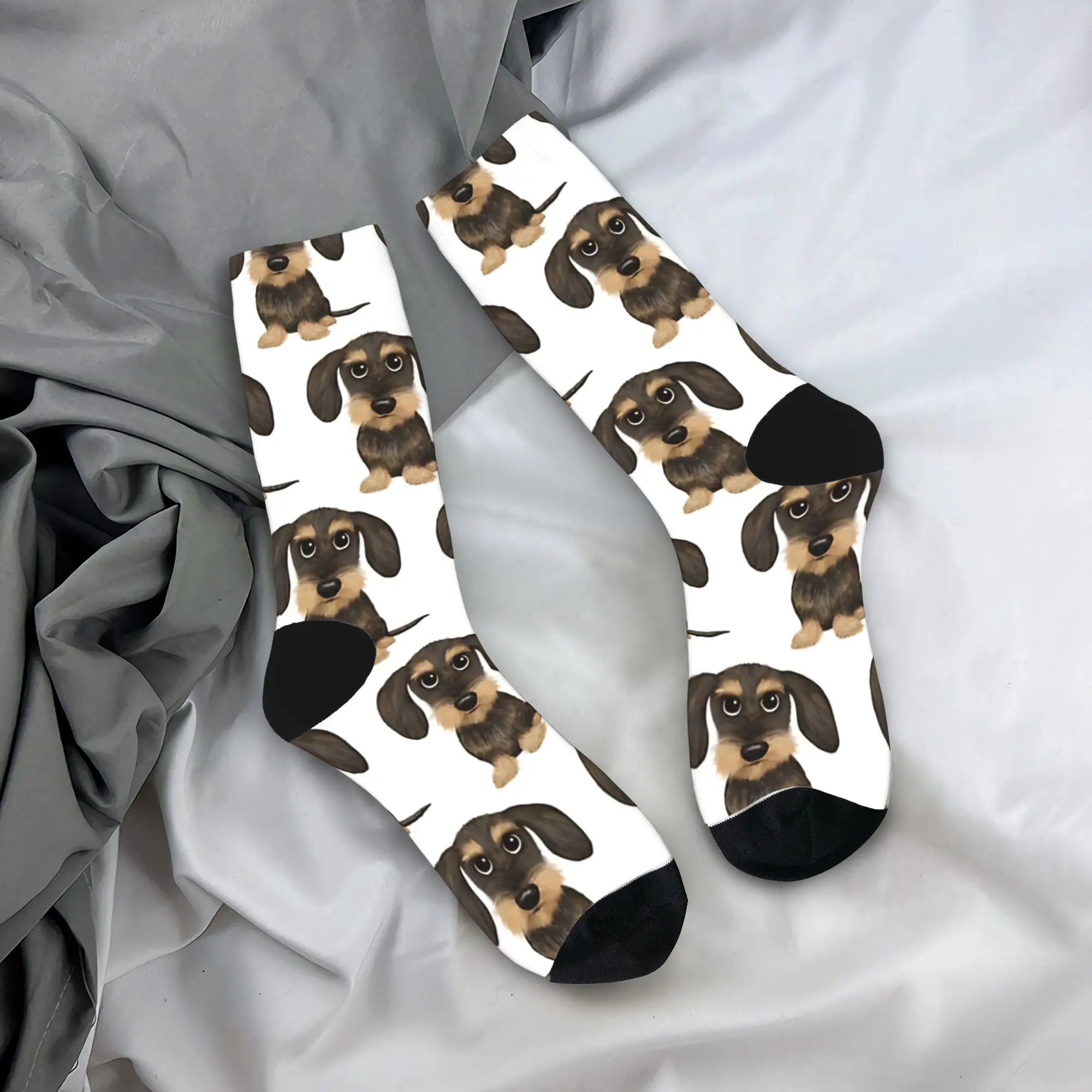 Wirehaired Dachshund Cute Wire Haired Wiener Dog Socks Autumn Stockings Men's High Quality Socks Skateboard Non Slip Socks
Wirehaired Dachshund Cute Wire Haired Wiener Dog Socks Autumn Stockings Men's High Quality Socks Skateboard Non Slip Socks