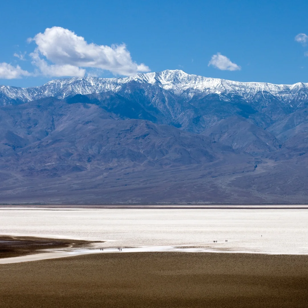 For Jaguar XJL 2010-2019 Digital Cluster liquid crystal LCD Dashboard Panel Virtual Cockpit Instrument Speedometer
For Jaguar XJL 2010-2019 Digital Cluster liquid crystal LCD Dashboard Panel Virtual Cockpit Instrument Speedometer