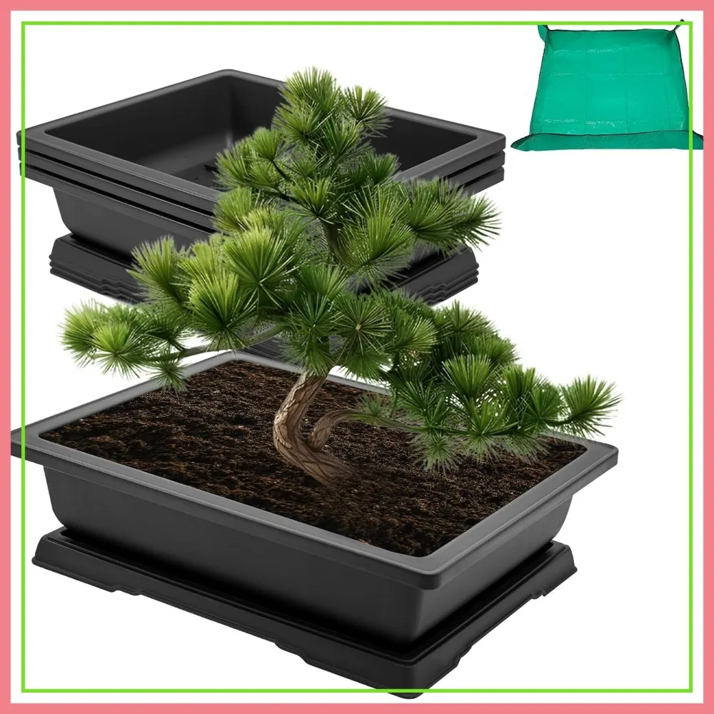 3-Pack 18 Inch Bonsai Training Pots with Trays and Repotting Mat, Large Planter Set for Indoor Outdoor Gardening
3-Pack 18 Inch Bonsai Training Pots with Trays and Repotting Mat, Large Planter Set for Indoor Outdoor Gardening