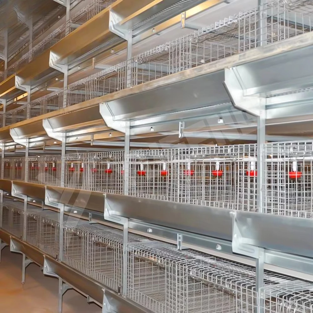 Design Chicken House Laying Coop H Type Broiler Cages Egg Hen Meat Layer Breed Poultry Farm Equipment
Design Chicken House Laying Coop H Type Broiler Cages Egg Hen Meat Layer Breed Poultry Farm Equipment