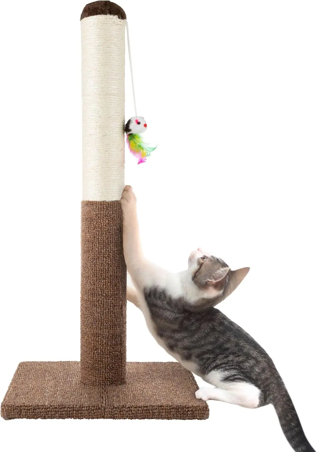 Tall Cat Scratching Post with Sisal Rope, Carpet, and Hanging Mouse Toy for Interactive Play (24.5 Inch)
Tall Cat Scratching Post with Sisal Rope, Carpet, and Hanging Mouse Toy for Interactive Play (24.5 Inch)