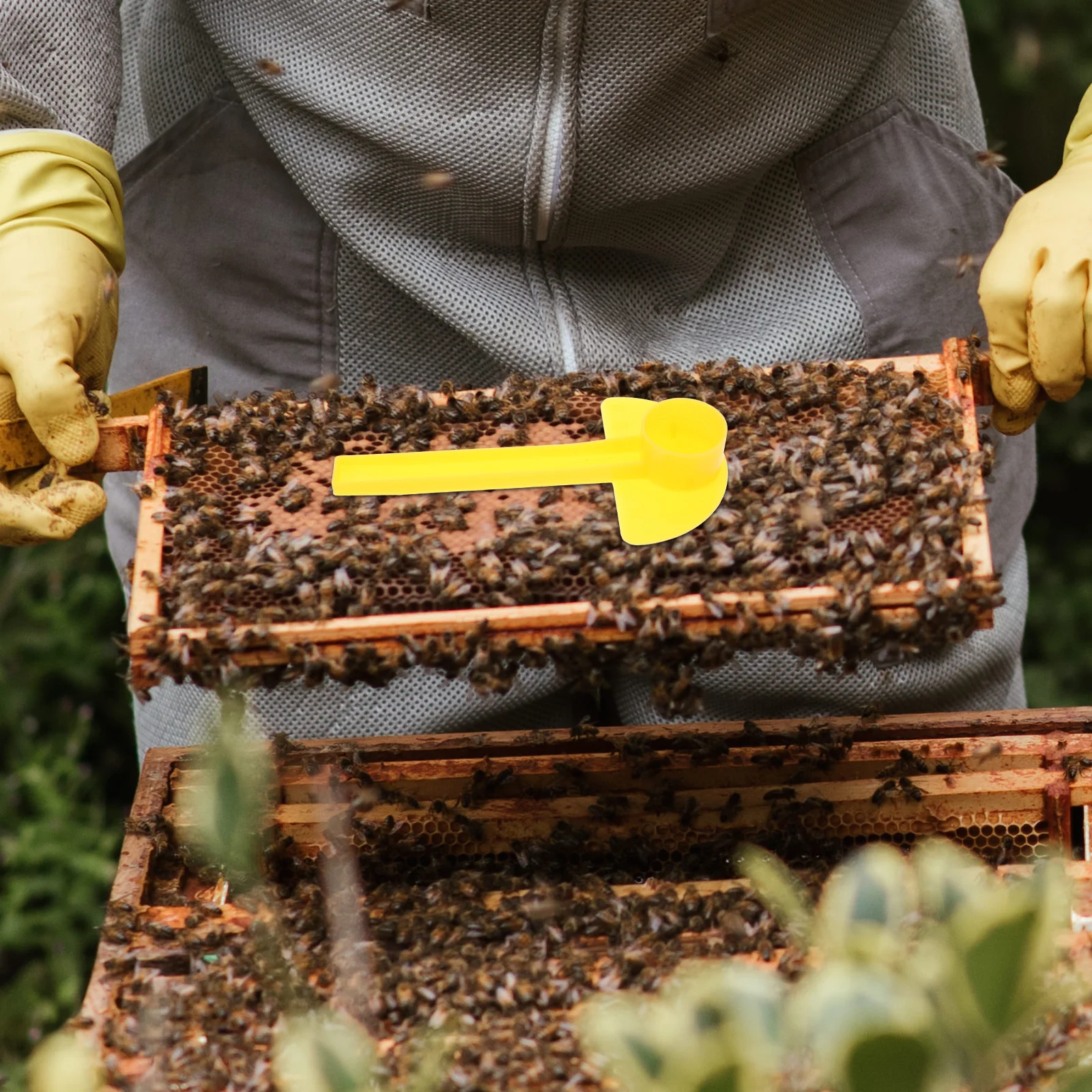 10Pcs Beehive Entrance Feeder Plastic Bee Waterer Durable Bee Feeding Cups Beekeeping Tools Outdoor Water for Bees Garden
10Pcs Beehive Entrance Feeder Plastic Bee Waterer Durable Bee Feeding Cups Beekeeping Tools Outdoor Water for Bees Garden