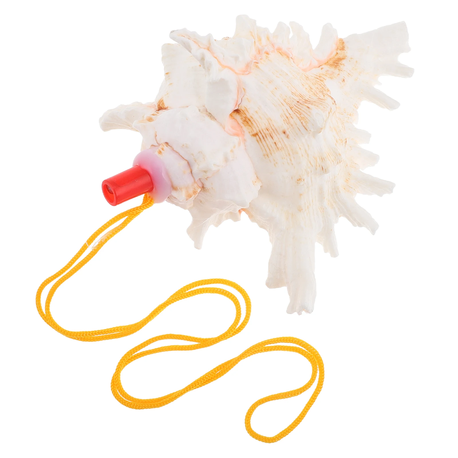 Conch Shell Horn Whistle Decorative Noise Maker Large Natural Shells for Blowing Home Decor Melodious Sound Children Instrument
Conch Shell Horn Whistle Decorative Noise Maker Large Natural Shells for Blowing Home Decor Melodious Sound Children Instrument