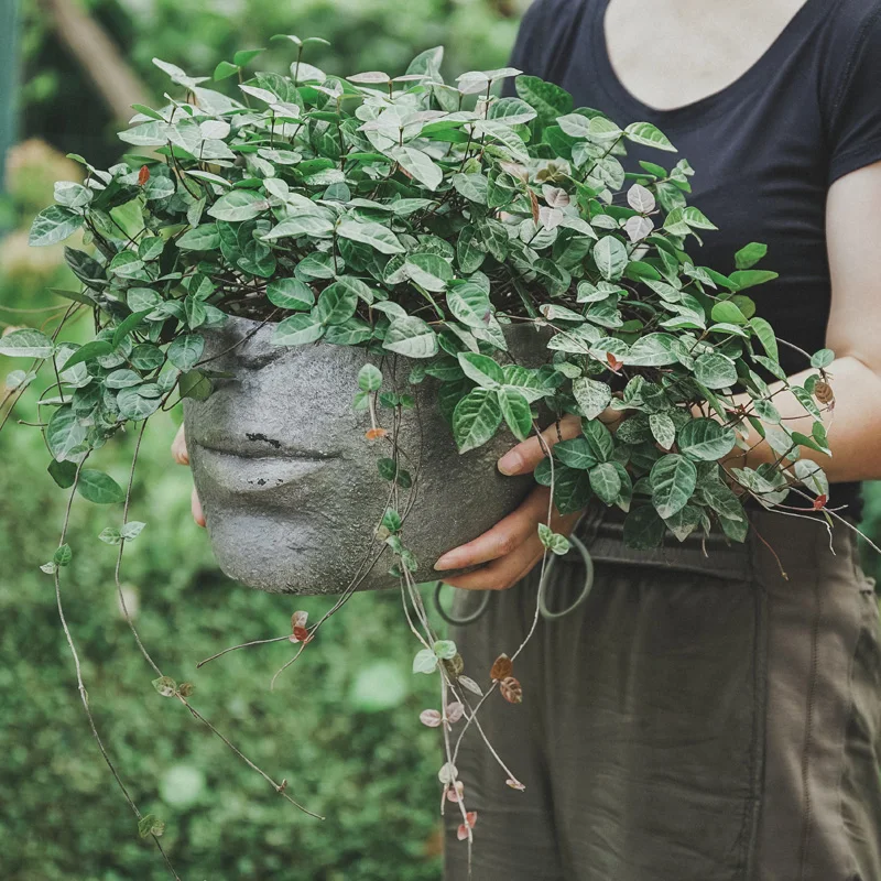 Creative Face Planter Pot Vintage Cement Look Flower Pot for Succulents Resin Planter Balcony Garden Decor for Home Gardening 
Creative Face Planter Pot Vintage Cement Look Flower Pot for Succulents Resin Planter Balcony Garden Decor for Home Gardening