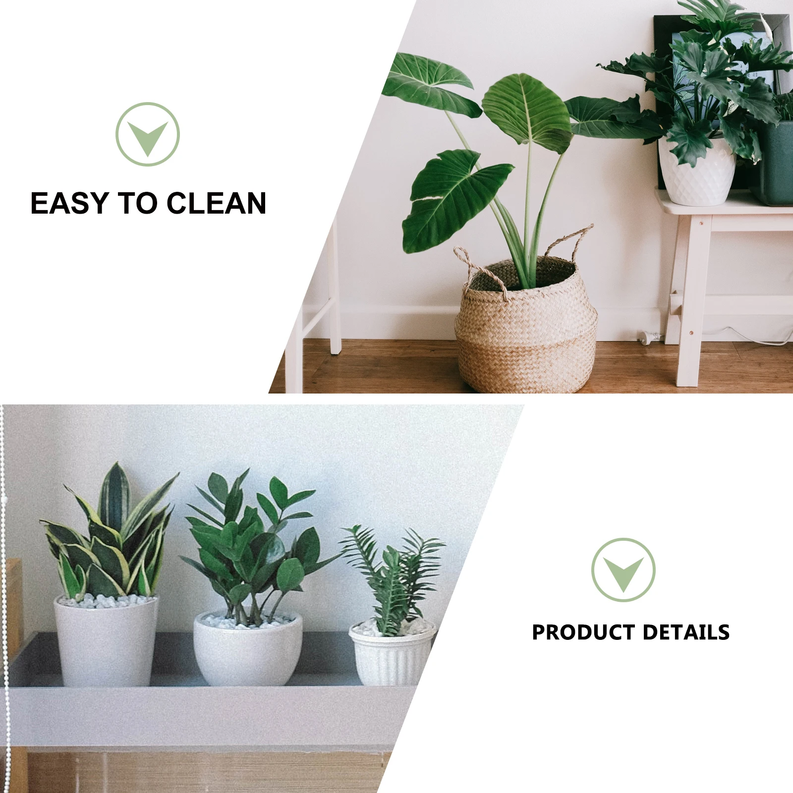 Movable Flowerpot Base Universal Wheel Tray Plant Pot Holder Water Storage Tray Garden Supplies Strong Resin Easy Transfer
Movable Flowerpot Base Universal Wheel Tray Plant Pot Holder Water Storage Tray Garden Supplies Strong Resin Easy Transfer