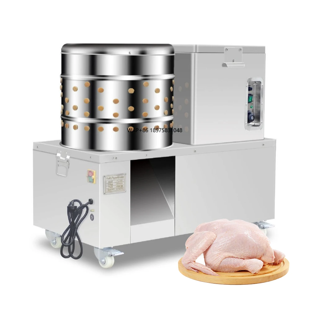 1-2chicken Automatic Slaughtering Equipment Full Automatic High Quality Combination Plucker and Scalder for Sale
1-2chicken Automatic Slaughtering Equipment Full Automatic High Quality Combination Plucker and Scalder for Sale