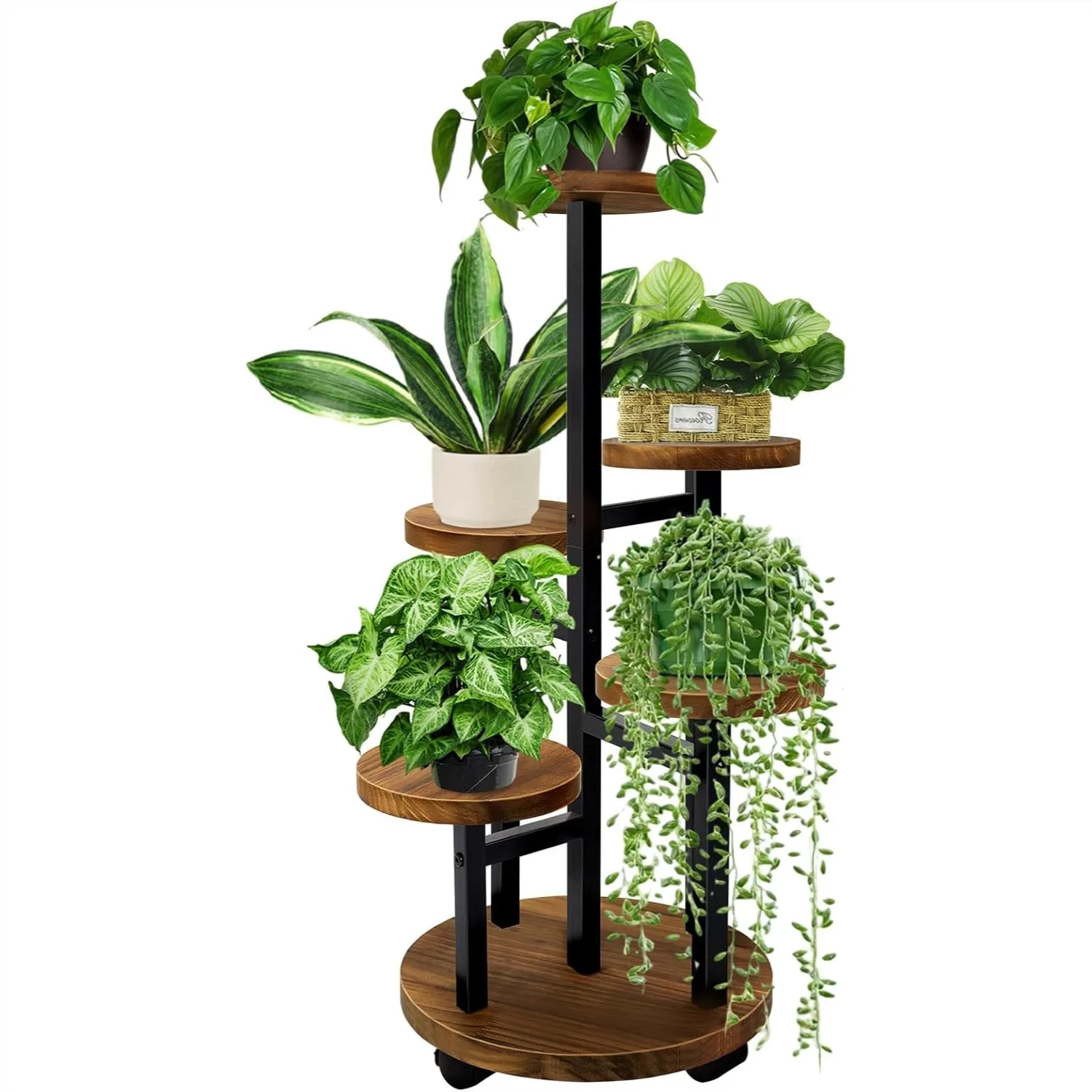 5 Tier Plant Stand with 4 Wheels, Metal Wood Tall Plant Stand for Indoor Plants Multiple, Corner Shelf for Living Room Bedroom
5 Tier Plant Stand with 4 Wheels, Metal Wood Tall Plant Stand for Indoor Plants Multiple, Corner Shelf for Living Room Bedroom