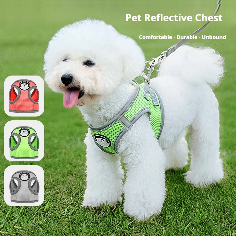Pet Leash: Comfortable and Durable, Chest Harness, Mesh Breathable, Reflective Vest Leash, Dog Leash, Cat Leash
Pet Leash: Comfortable and Durable, Chest Harness, Mesh Breathable, Reflective Vest Leash, Dog Leash, Cat Leash