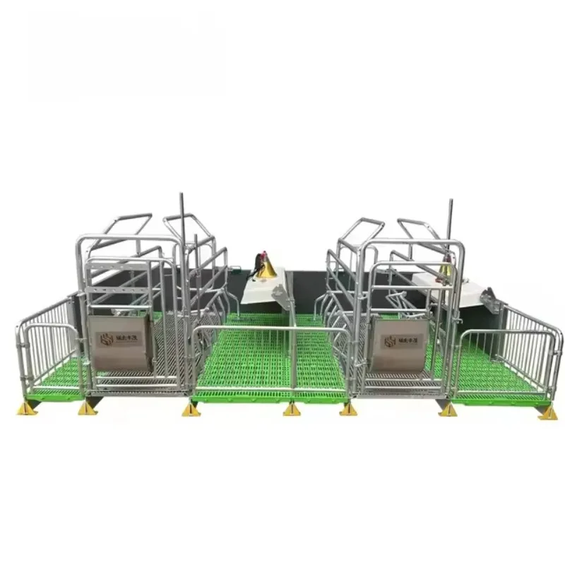Customized Galvanized Sow Maternity Pen Pig Farm Farrowing Box Pig Breeding Equipment
Customized Galvanized Sow Maternity Pen Pig Farm Farrowing Box Pig Breeding Equipment