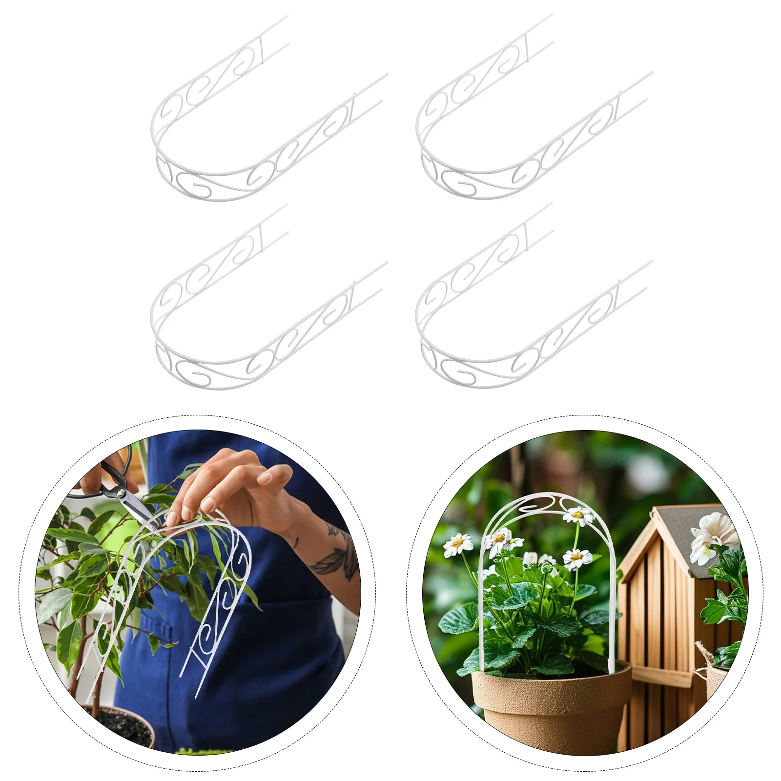 4 Pcs Mini Garden Arch Frame for Plants to Climb Flower Support Trellis Climbing Iron Vines
4 Pcs Mini Garden Arch Frame for Plants to Climb Flower Support Trellis Climbing Iron Vines