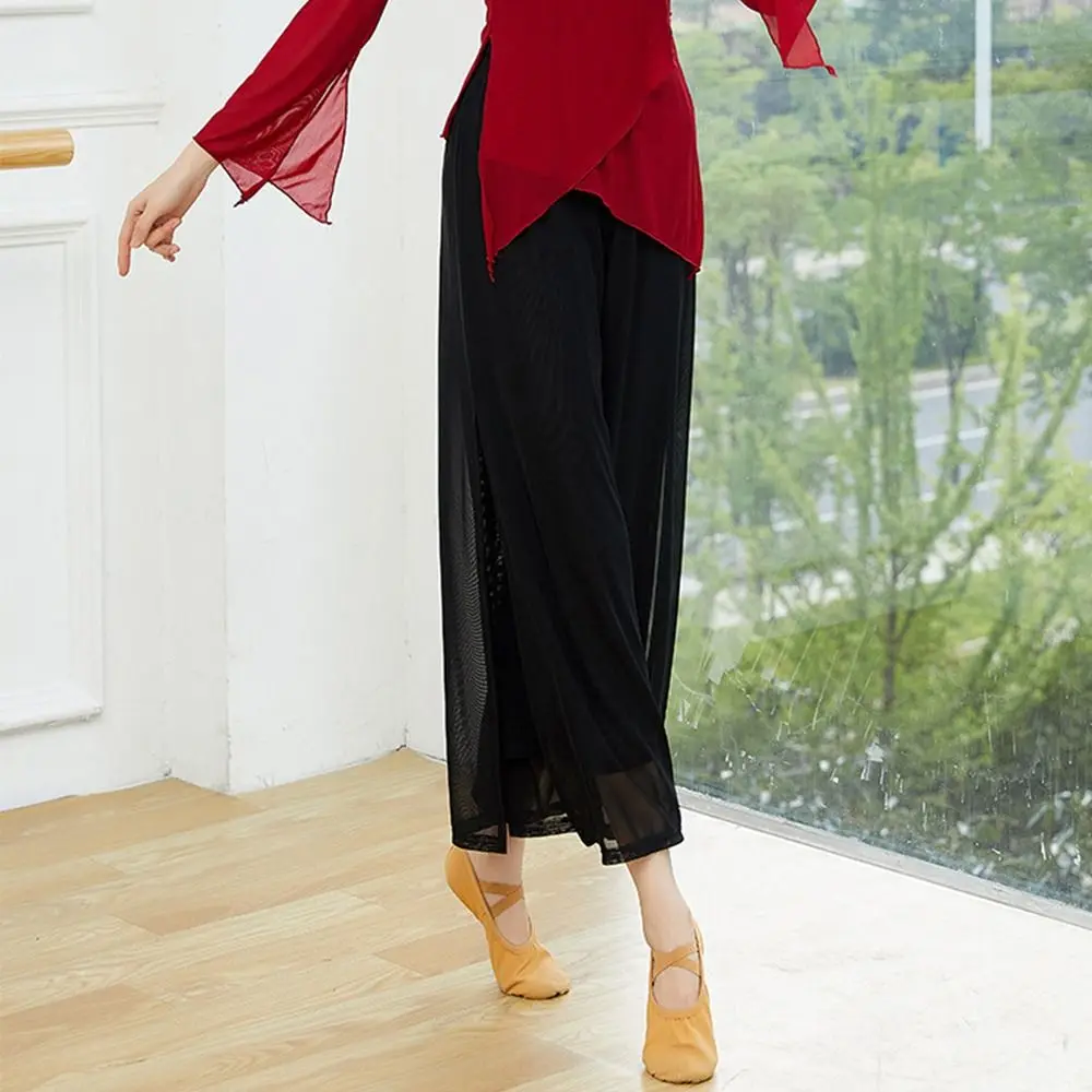 Fashion Loose Dance Pants Mesh Nylon Elastic Waist Wide Leg Pants Modern Dance Chinese Classical Fitness Pants Women
Fashion Loose Dance Pants Mesh Nylon Elastic Waist Wide Leg Pants Modern Dance Chinese Classical Fitness Pants Women