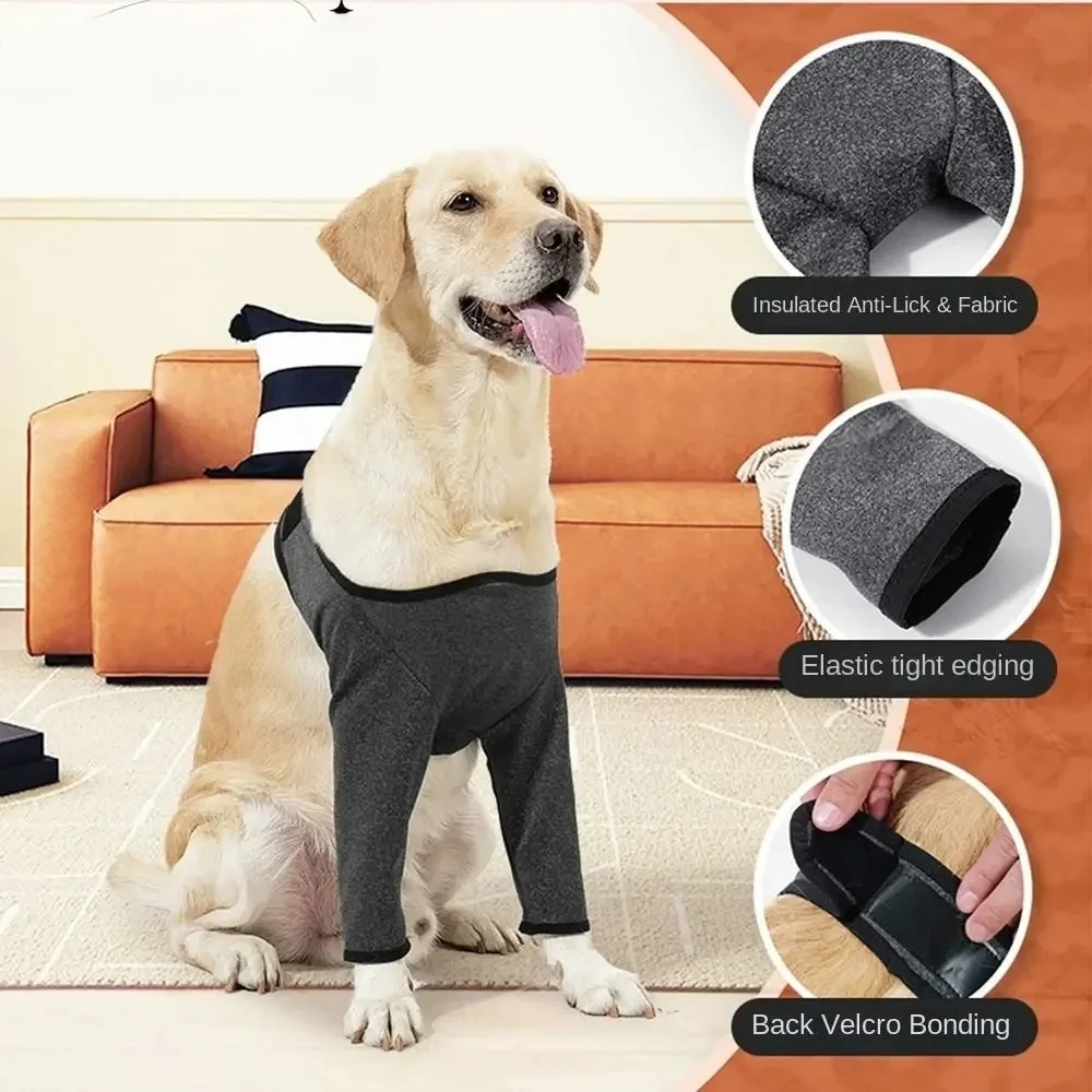Adjustable dog leg support sleeves, breathable and elastic dog knee pads, dirt and soft dog injury recovery leg pads
Adjustable dog leg support sleeves, breathable and elastic dog knee pads, dirt and soft dog injury recovery leg pads