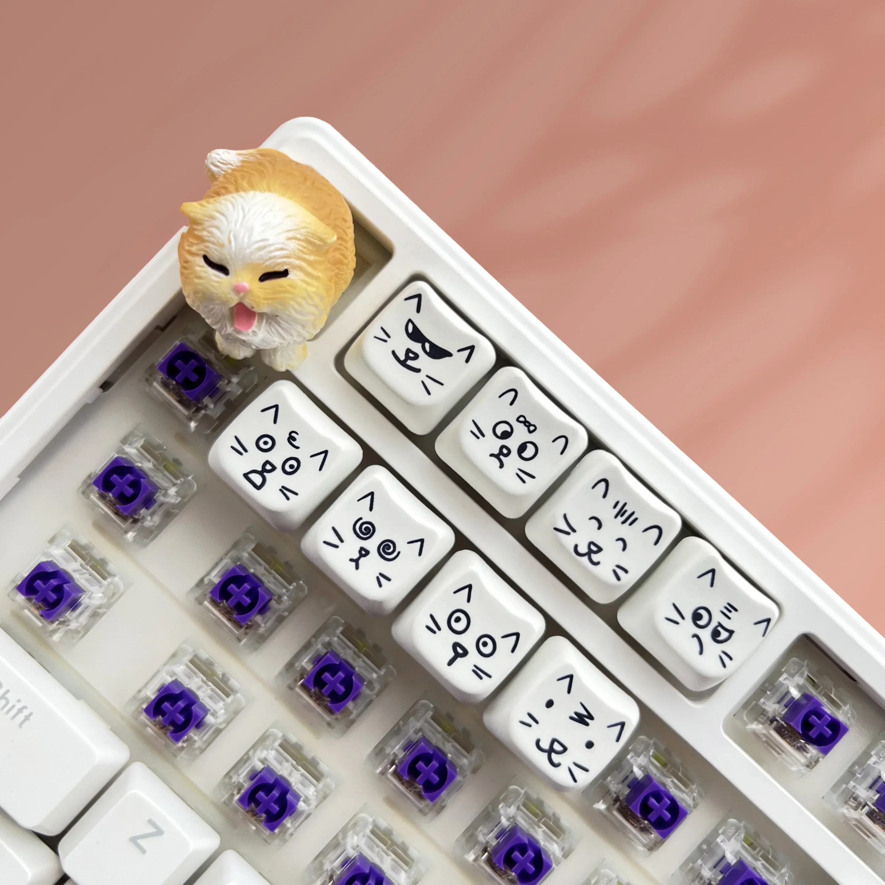 Оригинальная фигурка для ключей MAO, горячая сублимация, PBT, забавная, ручная роспись, стиль, 8 шт.
Оригинальная фигурка для ключей MAO, горячая сублимация, PBT, забавная, ручная роспись, стиль, 8 шт.