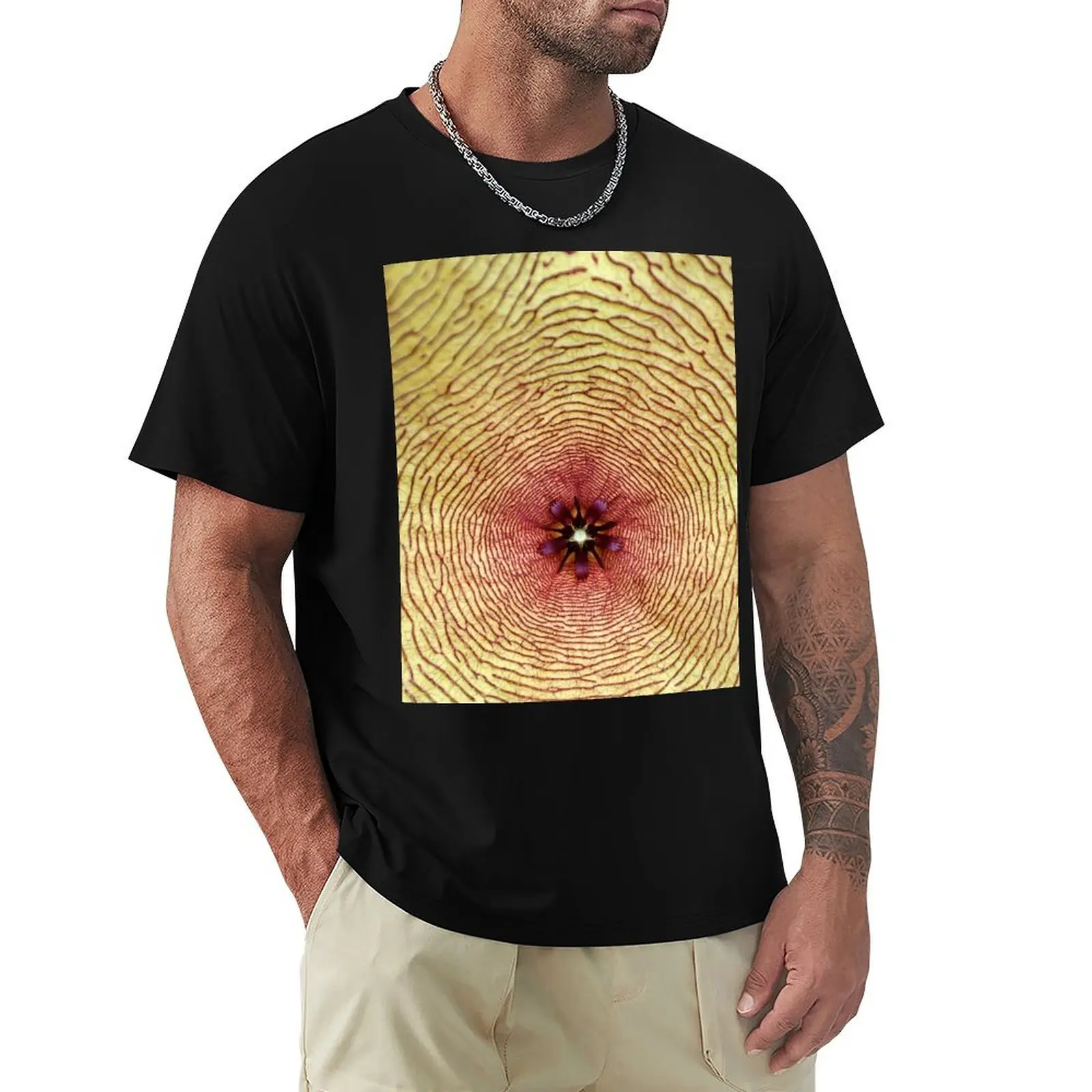 Star fish, Stapelia gigantea, South Africa T-Shirt Casual Work Wear T-Shirt
Star fish, Stapelia gigantea, South Africa T-Shirt Casual Work Wear T-Shirt