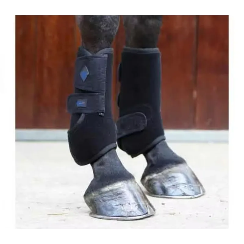 Horse Bell Boots & Equestrian Equipment Set
Horse Bell Boots & Equestrian Equipment Set