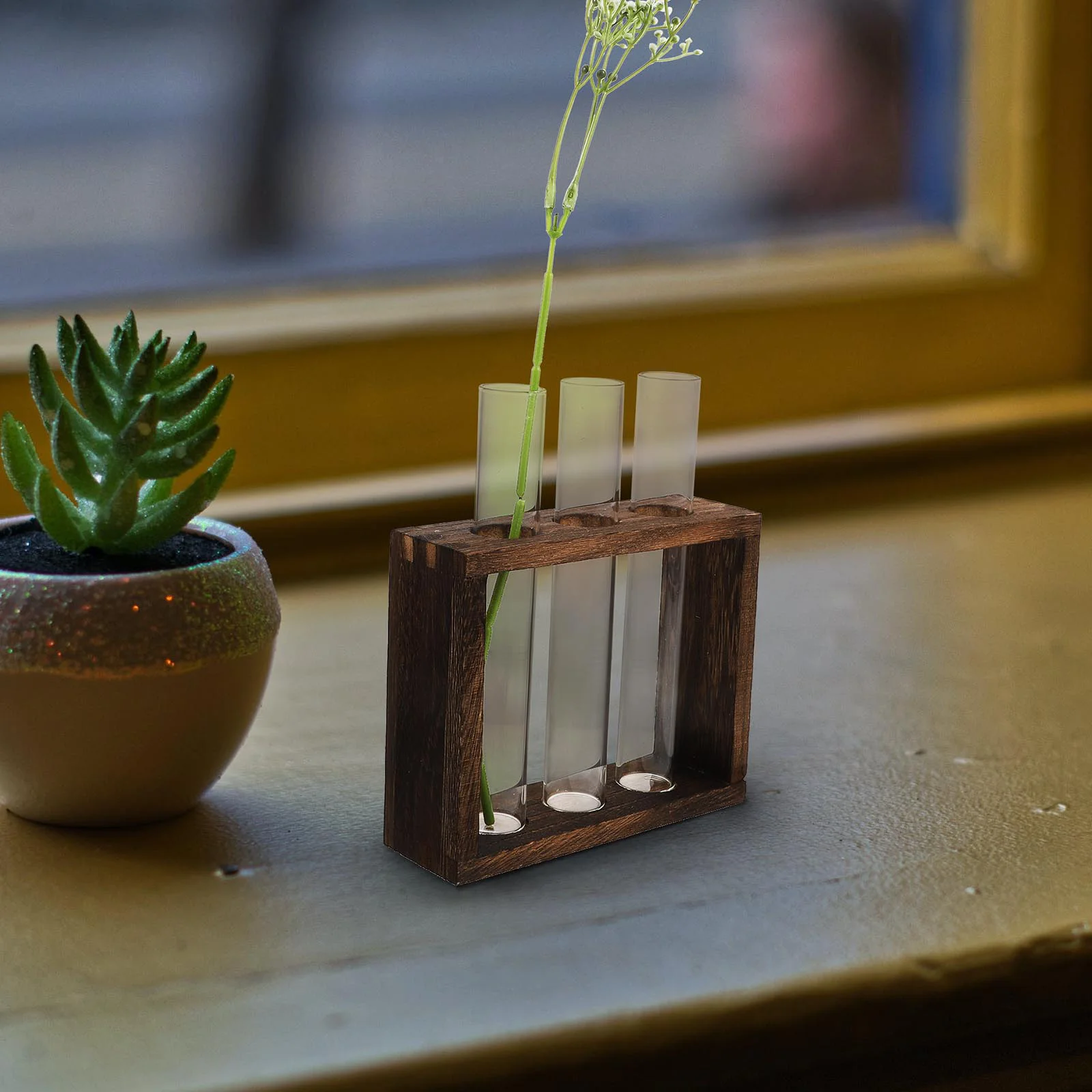 Wooden Rack Hydroponic Ornaments Vases Test Tube Home Decor Water Planting Container Household Planter Glass Man Plants
Wooden Rack Hydroponic Ornaments Vases Test Tube Home Decor Water Planting Container Household Planter Glass Man Plants