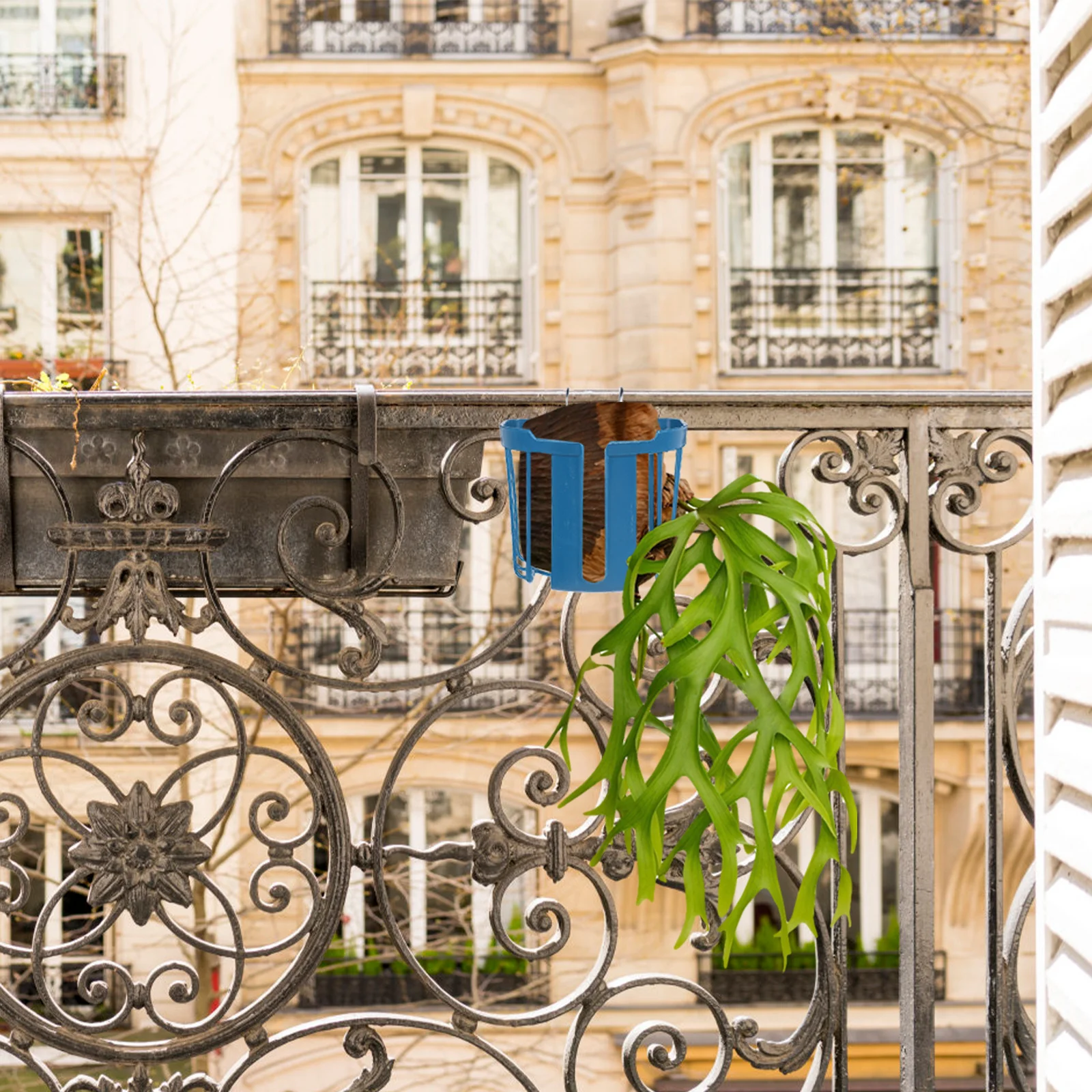 4pcs Fern Planting Basket No Pot Soil Required Vertical Wall Mounted Planter For Home Office Garden Decor Hanging Fence
4pcs Fern Planting Basket No Pot Soil Required Vertical Wall Mounted Planter For Home Office Garden Decor Hanging Fence