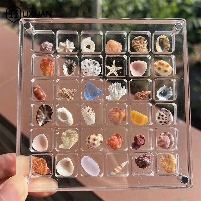 Acrylic Magnetic Seashell Display Box Seashell Clear Starfish Trinket Organizers 36/64/100 Grids Mini Seashell Storage Box
Acrylic Magnetic Seashell Display Box Seashell Clear Starfish Trinket Organizers 36/64/100 Grids Mini Seashell Storage Box