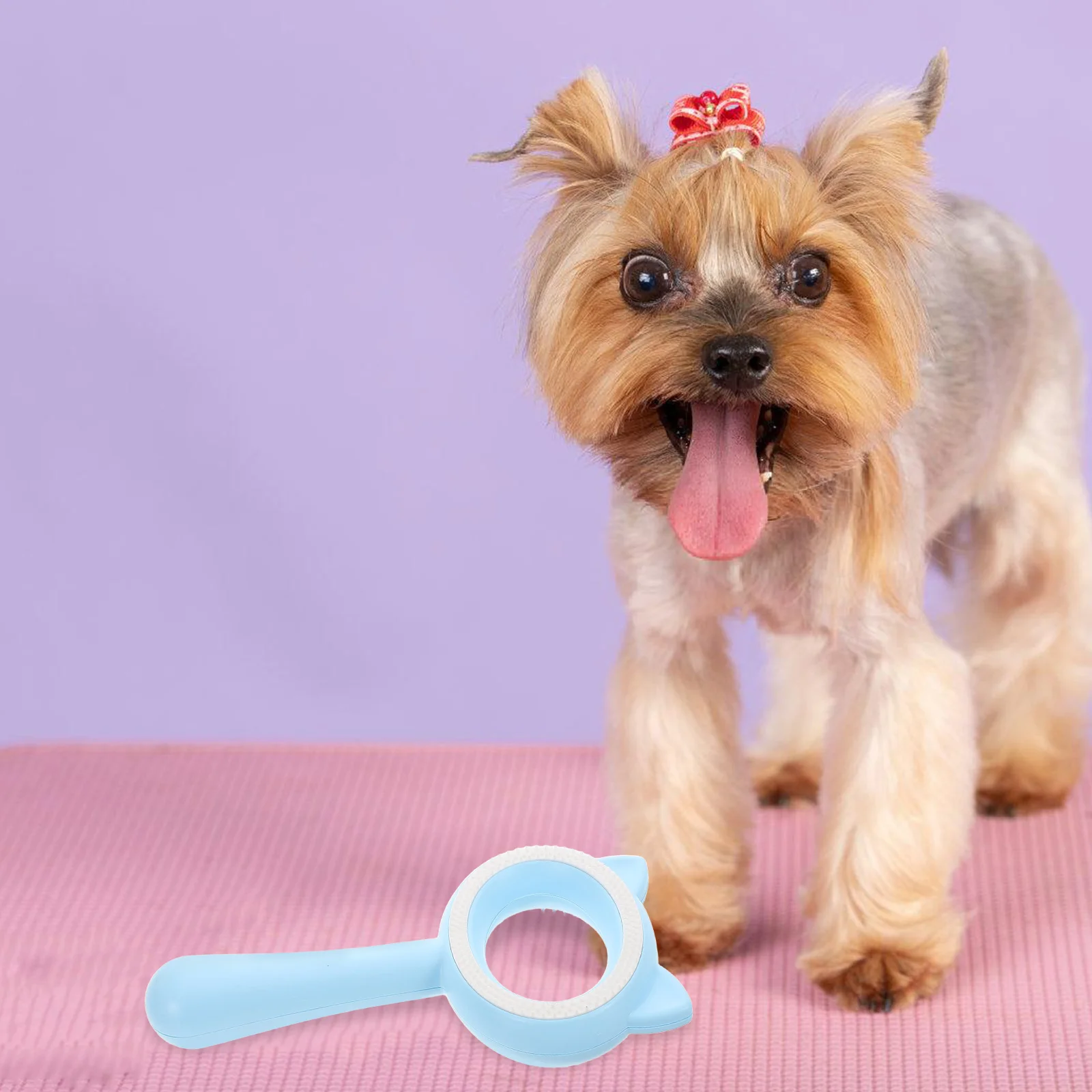 Dogs Cats Hair Removal Brush Dematting Comb Skyblue Deshedding Grooming Supplies Multifunctional Pet Tool Practical ABS Soft
Dogs Cats Hair Removal Brush Dematting Comb Skyblue Deshedding Grooming Supplies Multifunctional Pet Tool Practical ABS Soft