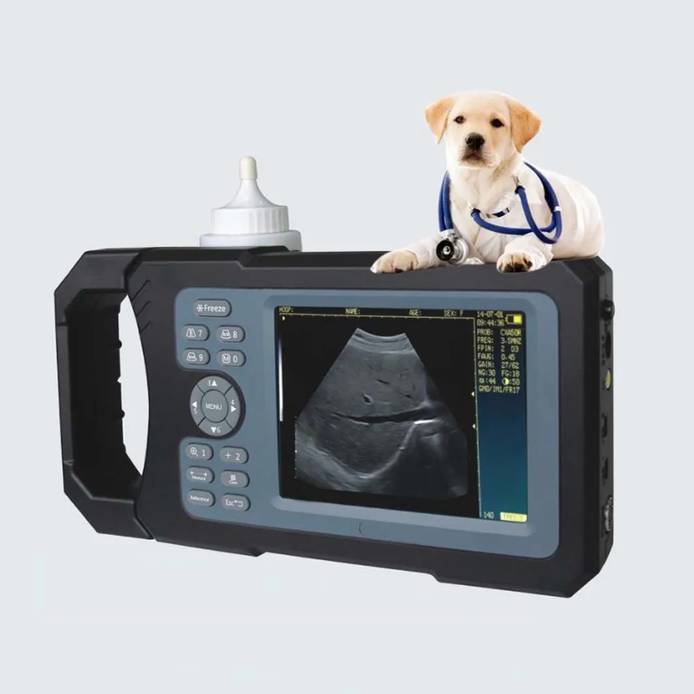 Cheap Veterinary For Big Animal Pet Portable Handheld Vet Portable Ultrasound
Cheap Veterinary For Big Animal Pet Portable Handheld Vet Portable Ultrasound