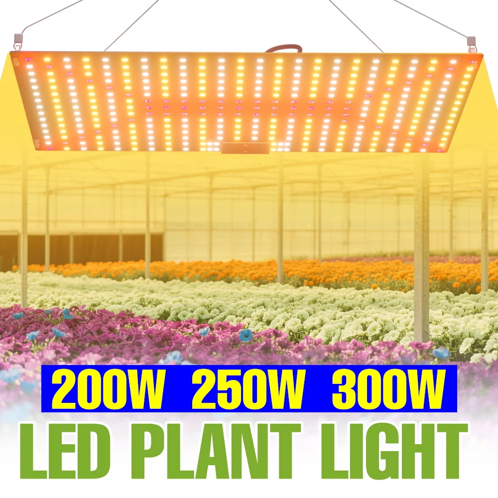 300W LED Grow Light Full Spectrum Indoor Quantum Board Plant Lamp UV/IR Greenhouse Tent Vegs Fruits Cultivation Lamps US/EU Plug
300W LED Grow Light Full Spectrum Indoor Quantum Board Plant Lamp UV/IR Greenhouse Tent Vegs Fruits Cultivation Lamps US/EU Plug