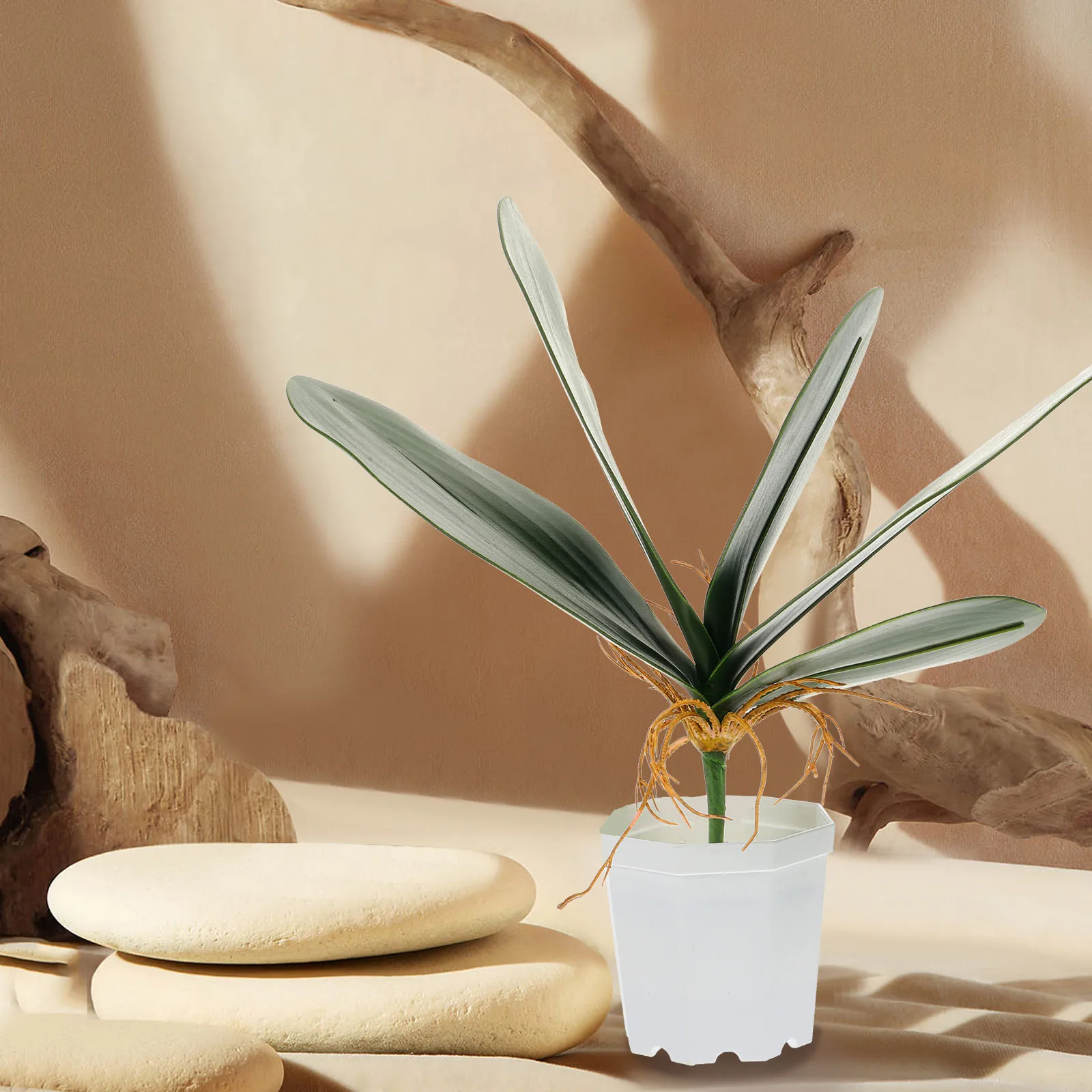 2Pcs Artificial Plant Leaves Lifelike Fake Phalaenopsis Simulation Green Leaves for Home Wedding Party Decor Artificial Plant
2Pcs Artificial Plant Leaves Lifelike Fake Phalaenopsis Simulation Green Leaves for Home Wedding Party Decor Artificial Plant