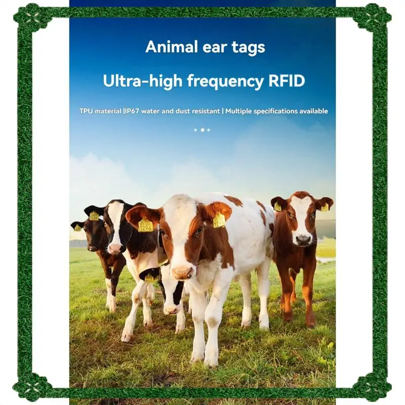24-Hour Delivery 100Pcs RFID Animal Ear Tag UHF Electronic Ear Tag 860-960Mhz Animal Tracking For Pig Sheep Pig Goat Cattle RFID
24-Hour Delivery 100Pcs RFID Animal Ear Tag UHF Electronic Ear Tag 860-960Mhz Animal Tracking For Pig Sheep Pig Goat Cattle RFID