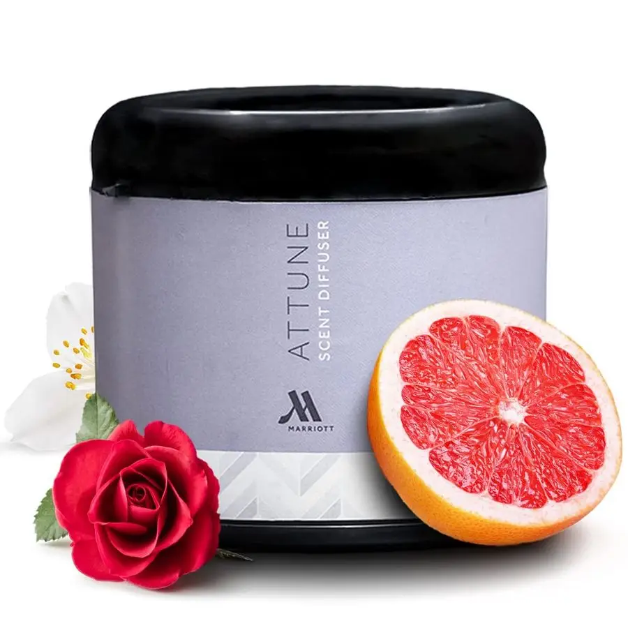 Аромат Attune Воздушный диффузор Заправка Фирменный гостиничный аромат для безводного воздушного диффузора Apple, Jasmine amp Кедровый аромат Долговечный
Аромат Attune Воздушный диффузор Заправка Фирменный гостиничный аромат для безводного воздушного диффузора Apple, Jasmine amp Кедровый аромат Долговечный