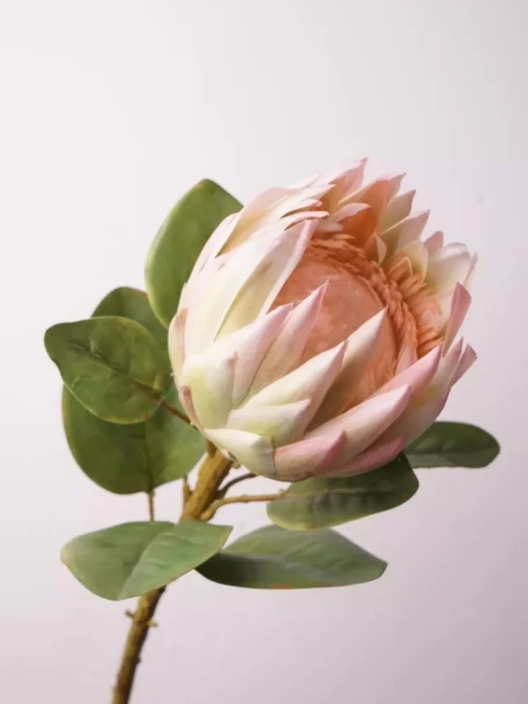 Декоративный цветок в скандинавском стиле, 1 шт., фотообои, Декорации для дома
Декоративный цветок в скандинавском стиле, 1 шт., фотообои, Декорации для дома