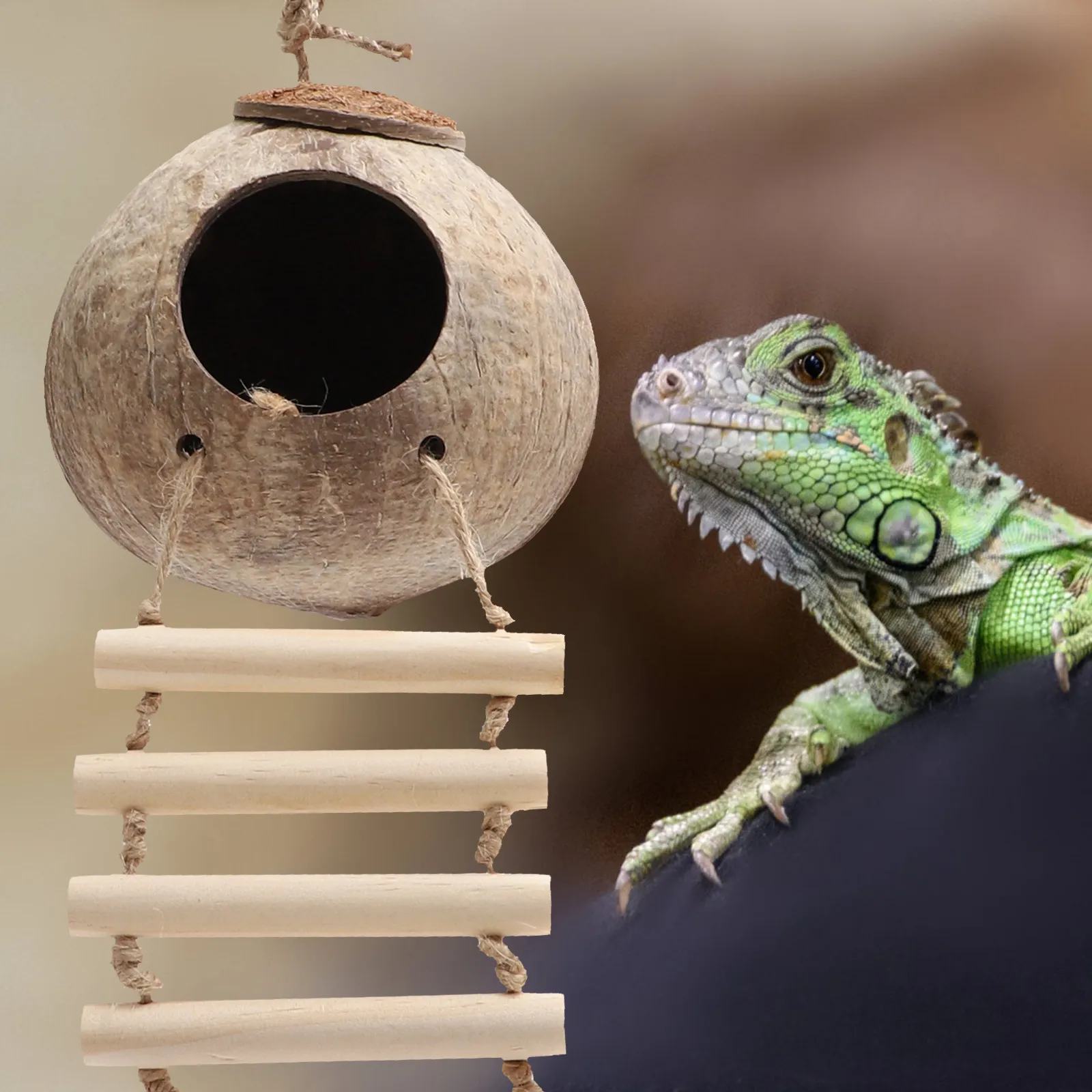 1Set Lifelike Reptile Plant Decor Climbing Vines for Terrarium Lizard Gecko Tank Accessories Realistic Hideout Natural Habitat
1Set Lifelike Reptile Plant Decor Climbing Vines for Terrarium Lizard Gecko Tank Accessories Realistic Hideout Natural Habitat
