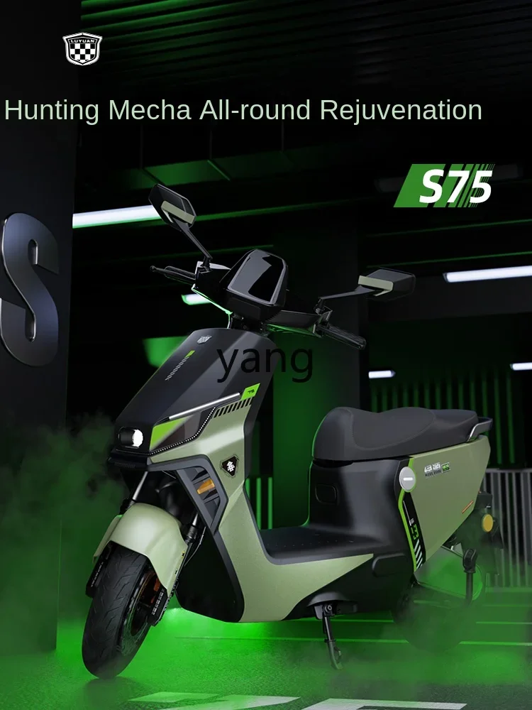 LTT 72V26Ah graphene long battery life electric motorcycle
LTT 72V26Ah graphene long battery life electric motorcycle