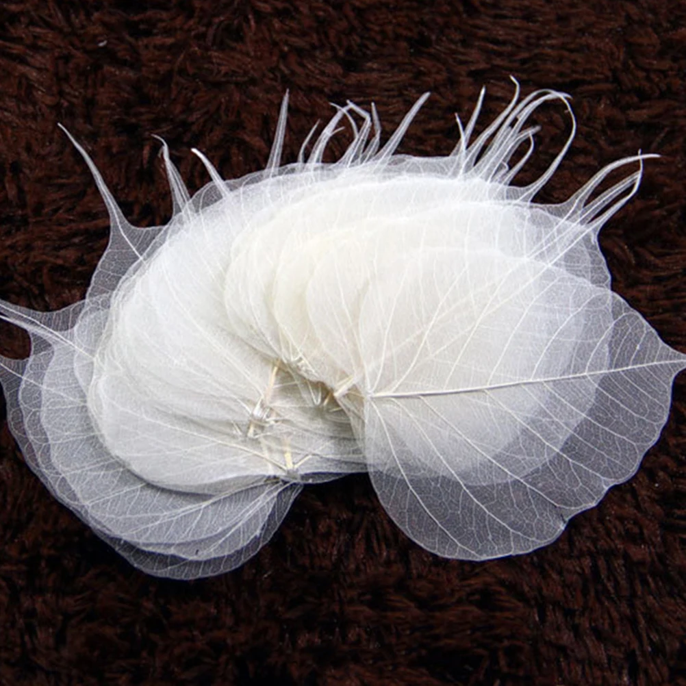 10pcs Leaf Vein Bookmark Materials Dried Plant Leaves Specimen Tree DIY Crafts Scrapbooks Greeting Cards Photo Albums 
10pcs Leaf Vein Bookmark Materials Dried Plant Leaves Specimen Tree DIY Crafts Scrapbooks Greeting Cards Photo Albums