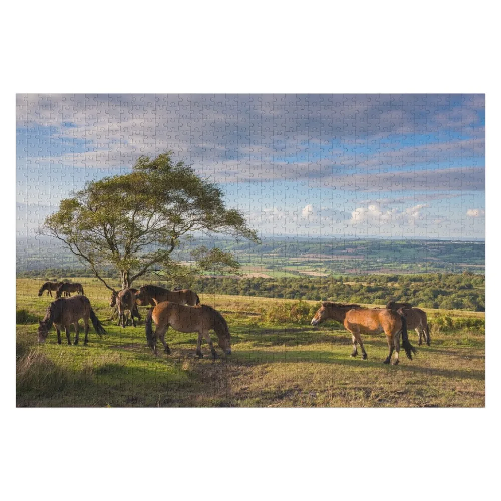 Blackdown, Mendip Hills, Somerset Jigsaw Puzzle Custom Wooden Gift Personalized Baby Object Scale Motors Baby Toy Puzzle
Blackdown, Mendip Hills, Somerset Jigsaw Puzzle Custom Wooden Gift Personalized Baby Object Scale Motors Baby Toy Puzzle