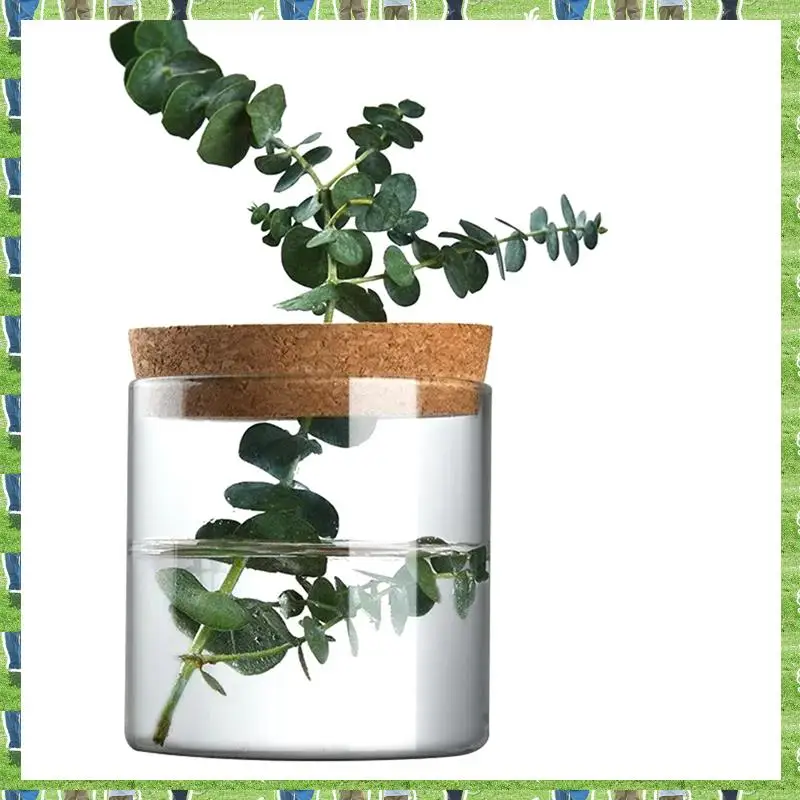 FTS Hydroponic Plant Bottle Mini Hydroponic Plant Vase Green Plant Pot Home Garden Courtyard Decoration
FTS Hydroponic Plant Bottle Mini Hydroponic Plant Vase Green Plant Pot Home Garden Courtyard Decoration
