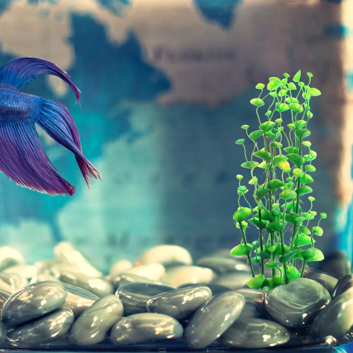 2pcs Plastic Simulation Water Grass Aquarium Decorative Fish Tank 24Cm 32Cm Artificial Plants Ceramic Base Safe For Aquatic Pets
2pcs Plastic Simulation Water Grass Aquarium Decorative Fish Tank 24Cm 32Cm Artificial Plants Ceramic Base Safe For Aquatic Pets