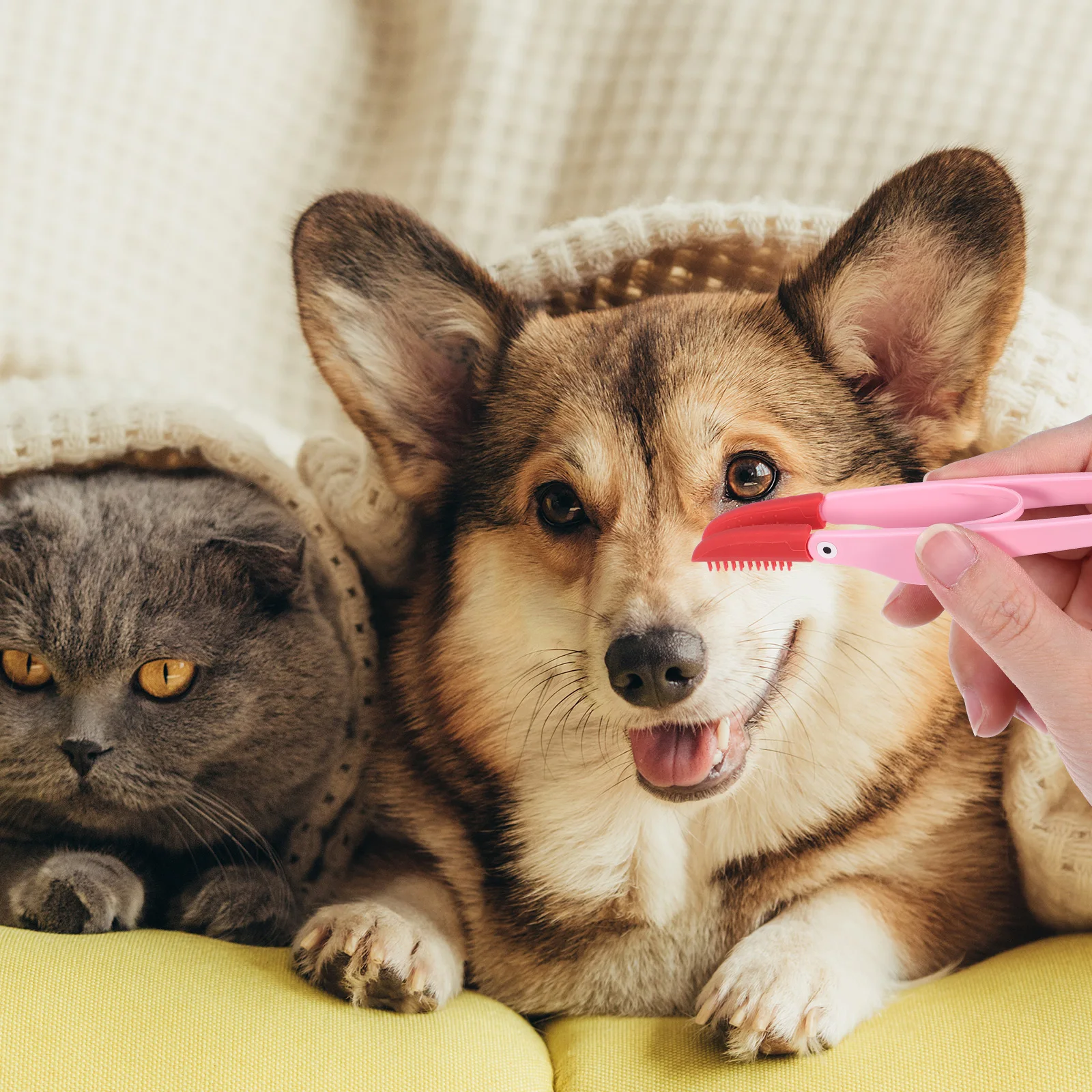 3 Pcs Tear Pet Rat Supplies Marks Brush Dog Eye Grooming Comb Cleaner Cats Dogs Rabbits Safe PP Material Storage Box
3 Pcs Tear Pet Rat Supplies Marks Brush Dog Eye Grooming Comb Cleaner Cats Dogs Rabbits Safe PP Material Storage Box