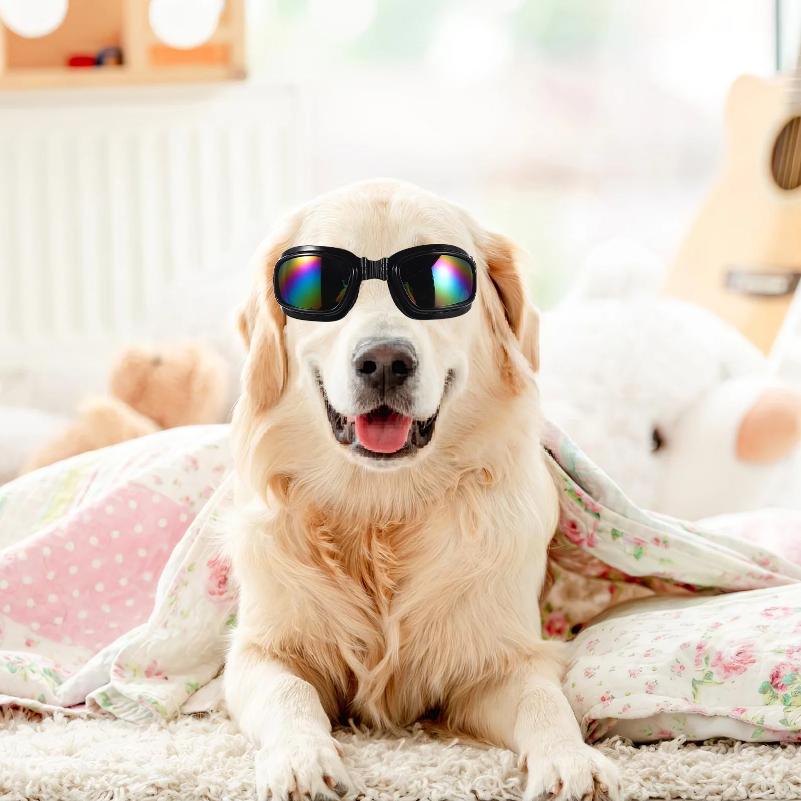 3Pcs Motorcycle Goggles Dog Sunglasses Uv Protection Adjustable Strap Anti-Fog Windproof Dog Ski Goggles Large Breed Outdoor
3Pcs Motorcycle Goggles Dog Sunglasses Uv Protection Adjustable Strap Anti-Fog Windproof Dog Ski Goggles Large Breed Outdoor