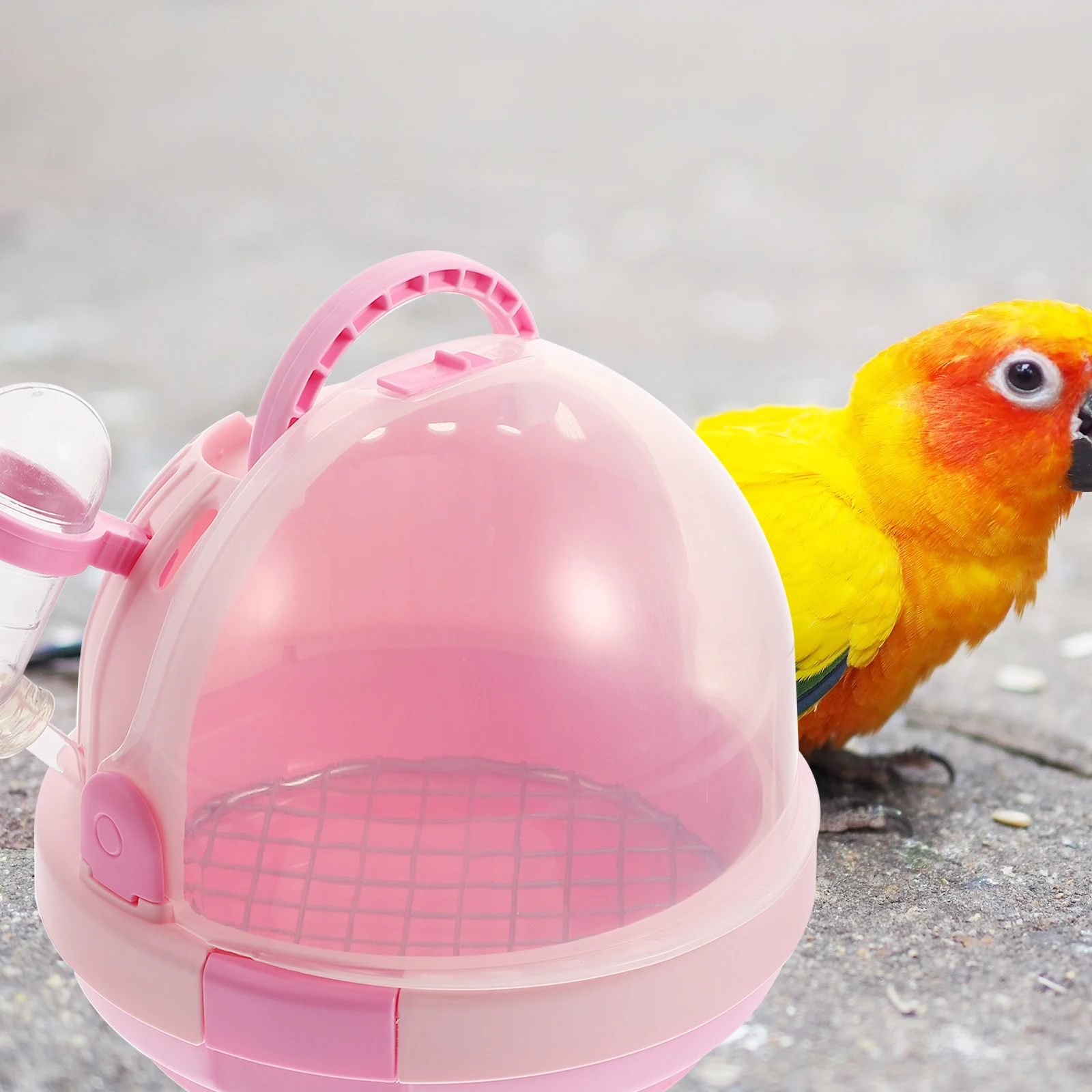 Portable Bird Cages H held Parrot Carrier Lightweight Travel Cage for Baby Birds Zinc Alloy Breathable Pet Safety Design Clear
Portable Bird Cages H held Parrot Carrier Lightweight Travel Cage for Baby Birds Zinc Alloy Breathable Pet Safety Design Clear