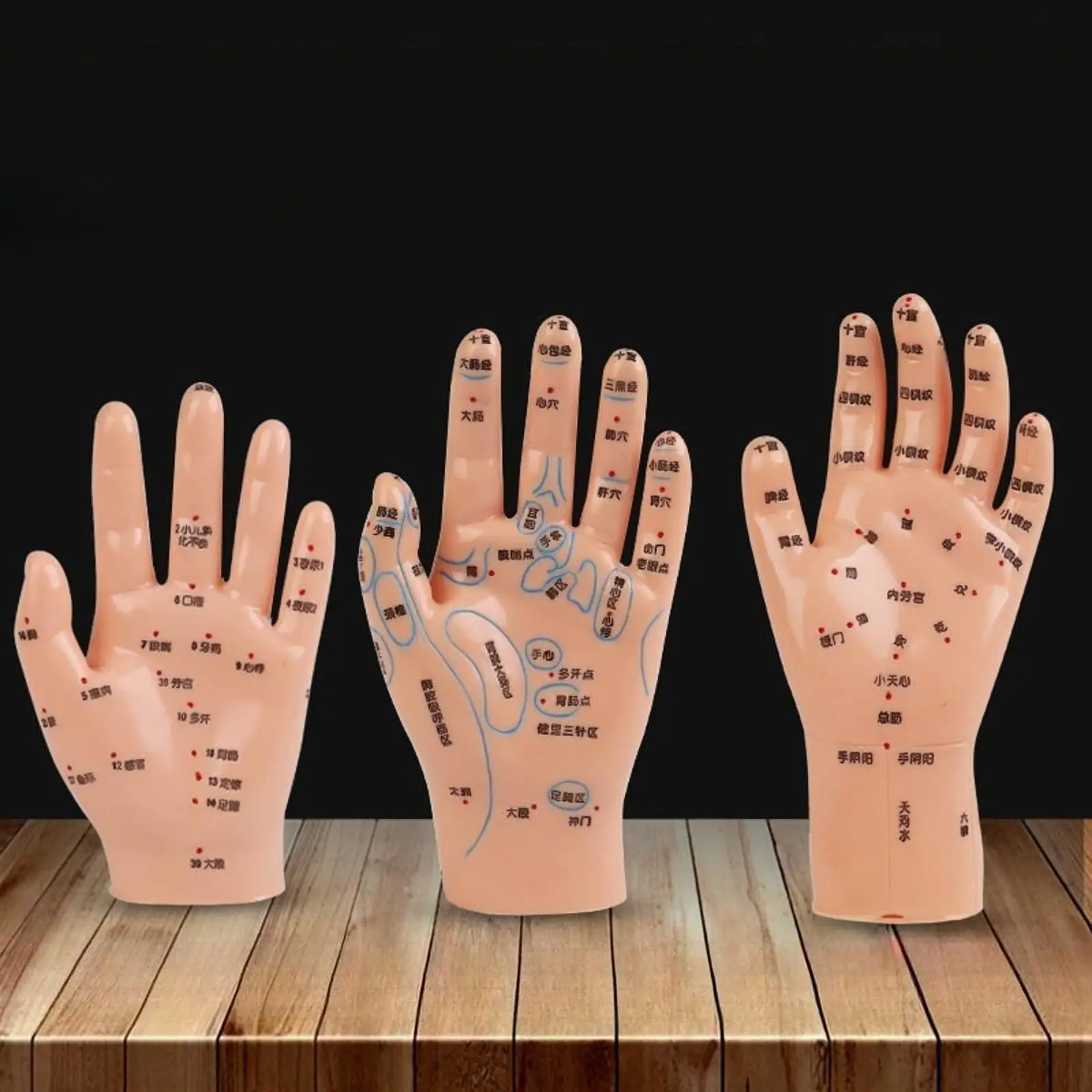 Anatomical Hand Mannequin Educational Study Multipurpose School Learning Tool Hand Acupuncture Model Chinese Medical Meridians
Anatomical Hand Mannequin Educational Study Multipurpose School Learning Tool Hand Acupuncture Model Chinese Medical Meridians