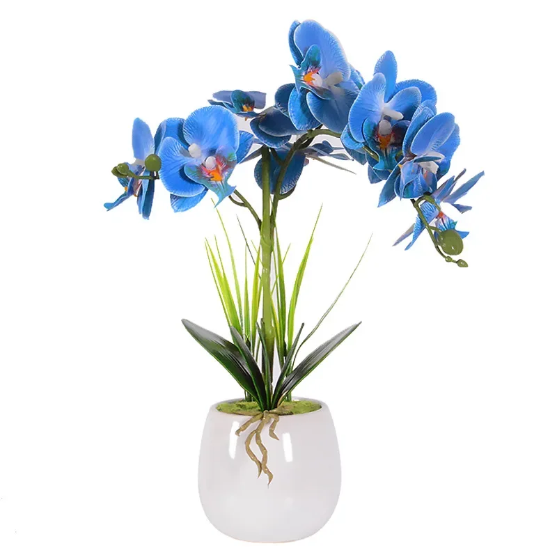 Artificial flower 2 fork Phalaenopsis potted plant set Home decoration False flower bonsai living room ornament
Artificial flower 2 fork Phalaenopsis potted plant set Home decoration False flower bonsai living room ornament