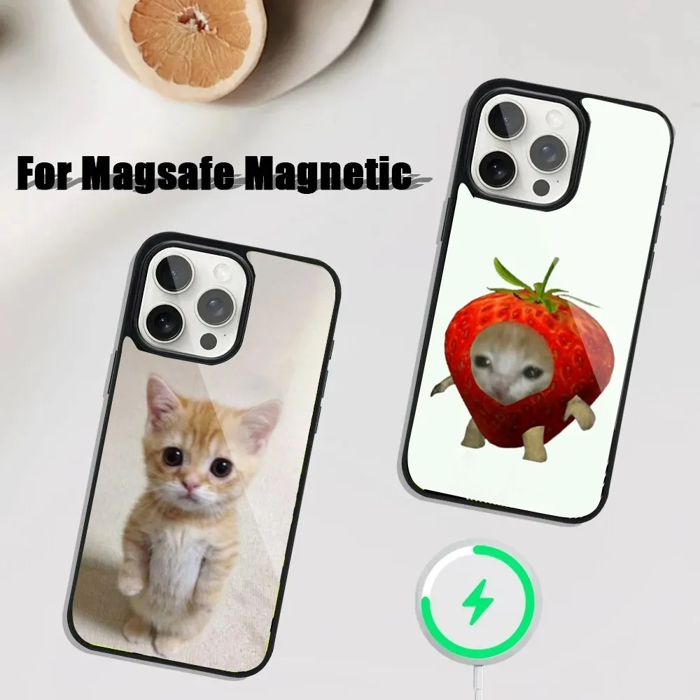 Cat Memes Phone Case For iPhone 16,15,14,13,12,11,Plus,Pro,Max Mini Magsafe Magnetic Wireless Charging
Cat Memes Phone Case For iPhone 16,15,14,13,12,11,Plus,Pro,Max Mini Magsafe Magnetic Wireless Charging