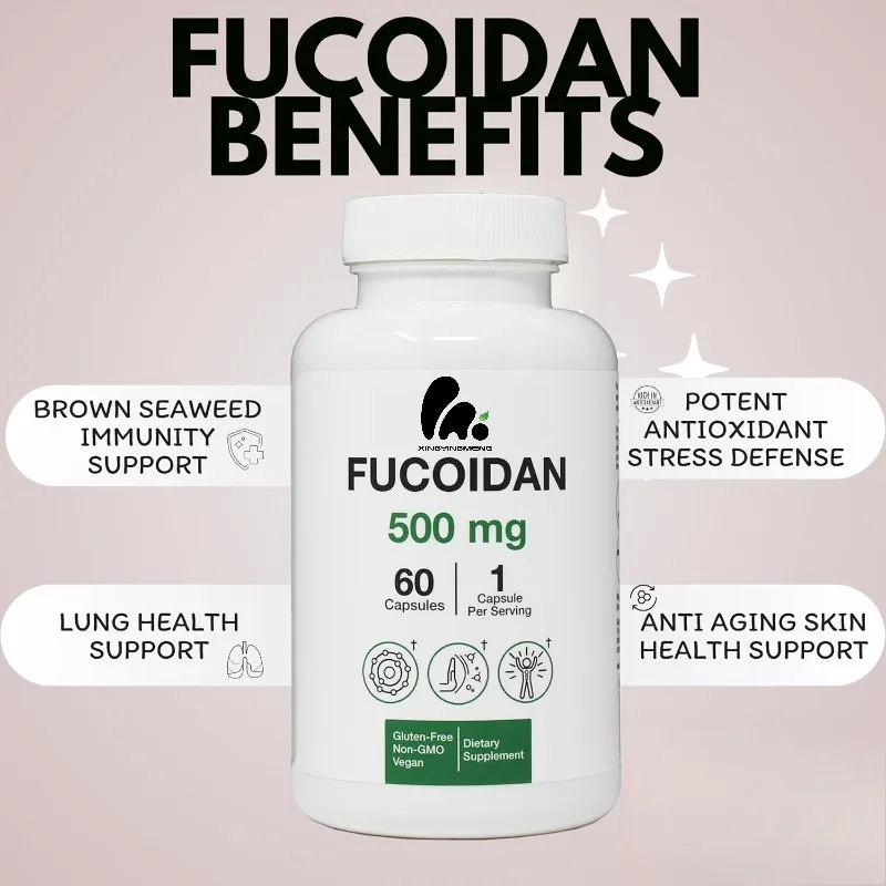 Fucoidan 500 мг капсулы с иммунной добавкой - поставка на 60 дней - экстракт коричневых водорослей - травяные антиоксиданты для поддержки здоровья кожи
Fucoidan 500 мг капсулы с иммунной добавкой - поставка на 60 дней - экстракт коричневых водорослей - травяные антиоксиданты для поддержки здоровья кожи