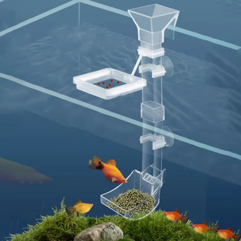 Transparent Fish Tank Feeding Tube Acrylic with Suction Cup Fish Feeding Basin Wall-mounted Shrimp Feeding Device
Transparent Fish Tank Feeding Tube Acrylic with Suction Cup Fish Feeding Basin Wall-mounted Shrimp Feeding Device