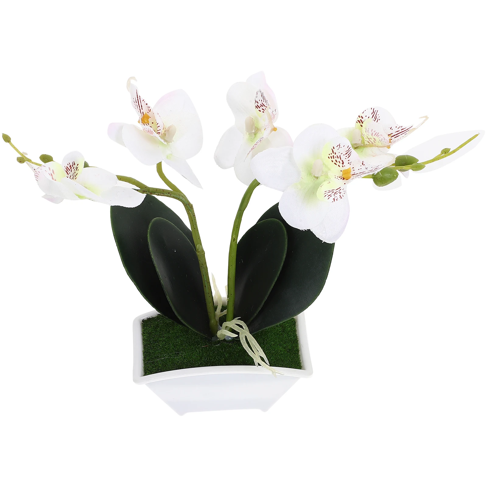Simulation Phalaenopsis Artificial Orchids Potted Indoor Plants Decor Mini Artifical Flower
Simulation Phalaenopsis Artificial Orchids Potted Indoor Plants Decor Mini Artifical Flower