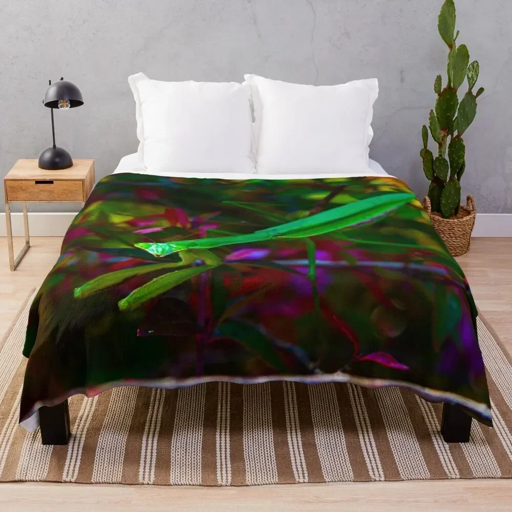 Praying Mantis Throw Blanket Cozy Home Blanket Gift for Christmas Holiday
Praying Mantis Throw Blanket Cozy Home Blanket Gift for Christmas Holiday
