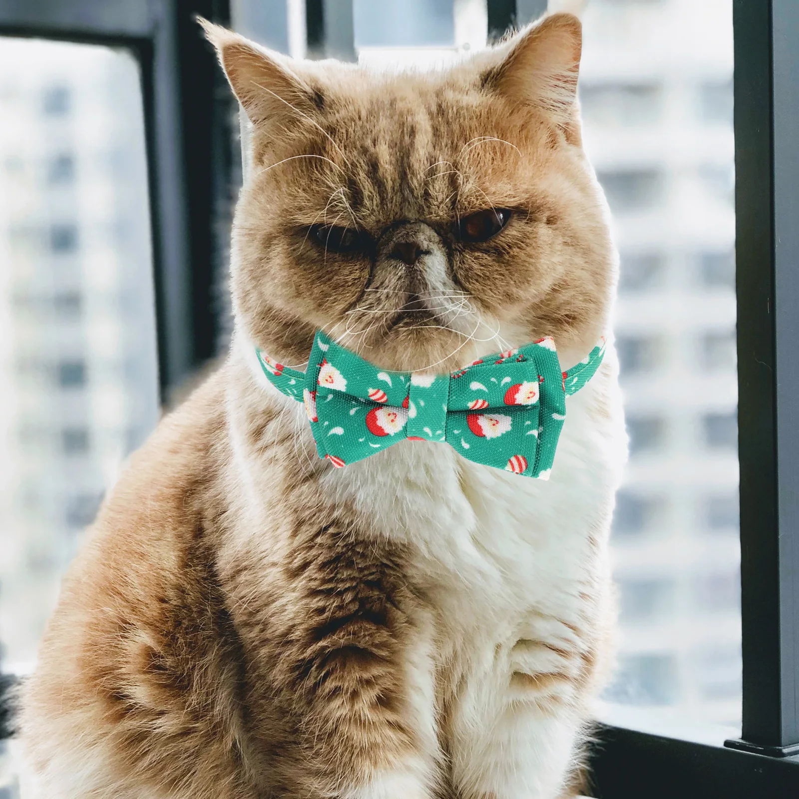 Christmas Bell Collar for Cats Adjustable Neck Strap with Removable Bow Tie Xmas Pet Necklace Christmas Pet Collar
Christmas Bell Collar for Cats Adjustable Neck Strap with Removable Bow Tie Xmas Pet Necklace Christmas Pet Collar