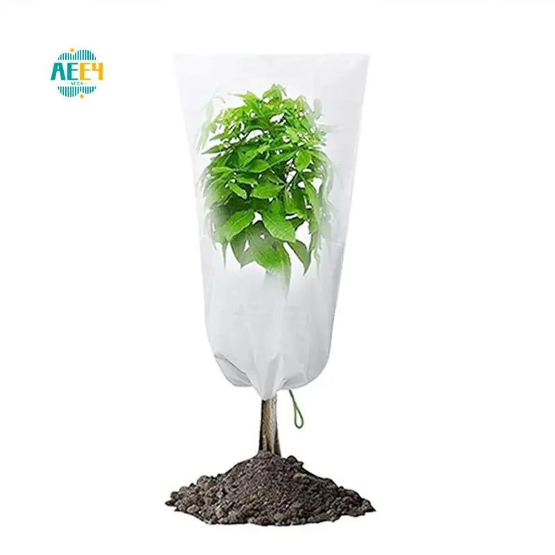 AEE4-8 упаковок, защитные мешки для фруктов с шнурком, садовая сетка, чехлы для растений, белая нетканая ткань для овощей, фруктов, потока
AEE4-8 упаковок, защитные мешки для фруктов с шнурком, садовая сетка, чехлы для растений, белая нетканая ткань для овощей, фруктов, потока