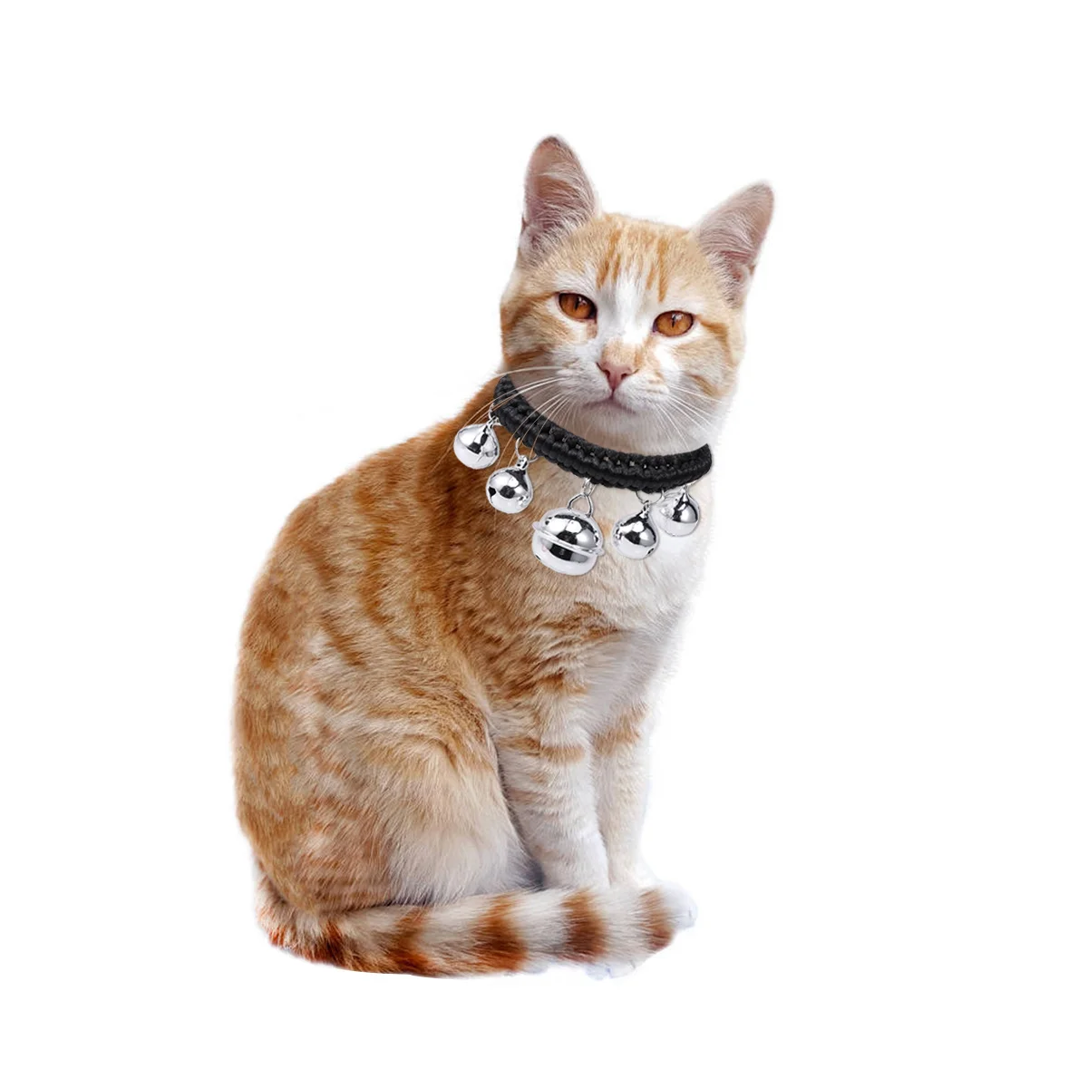 Hand Woven Bell Collar Adjustable Size M Small Hollow Black Stylish Pet Necklace Dog Cat Collar Walking Outdoor Sports
Hand Woven Bell Collar Adjustable Size M Small Hollow Black Stylish Pet Necklace Dog Cat Collar Walking Outdoor Sports